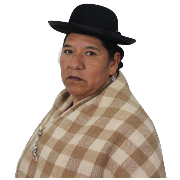 Dirección Ejecutiva